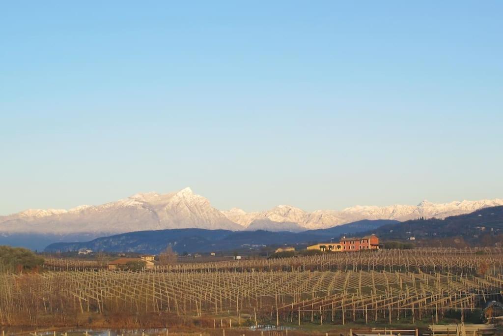 Country Apartment, Near Bardolino And Lazise Calmasino Zewnętrze zdjęcie